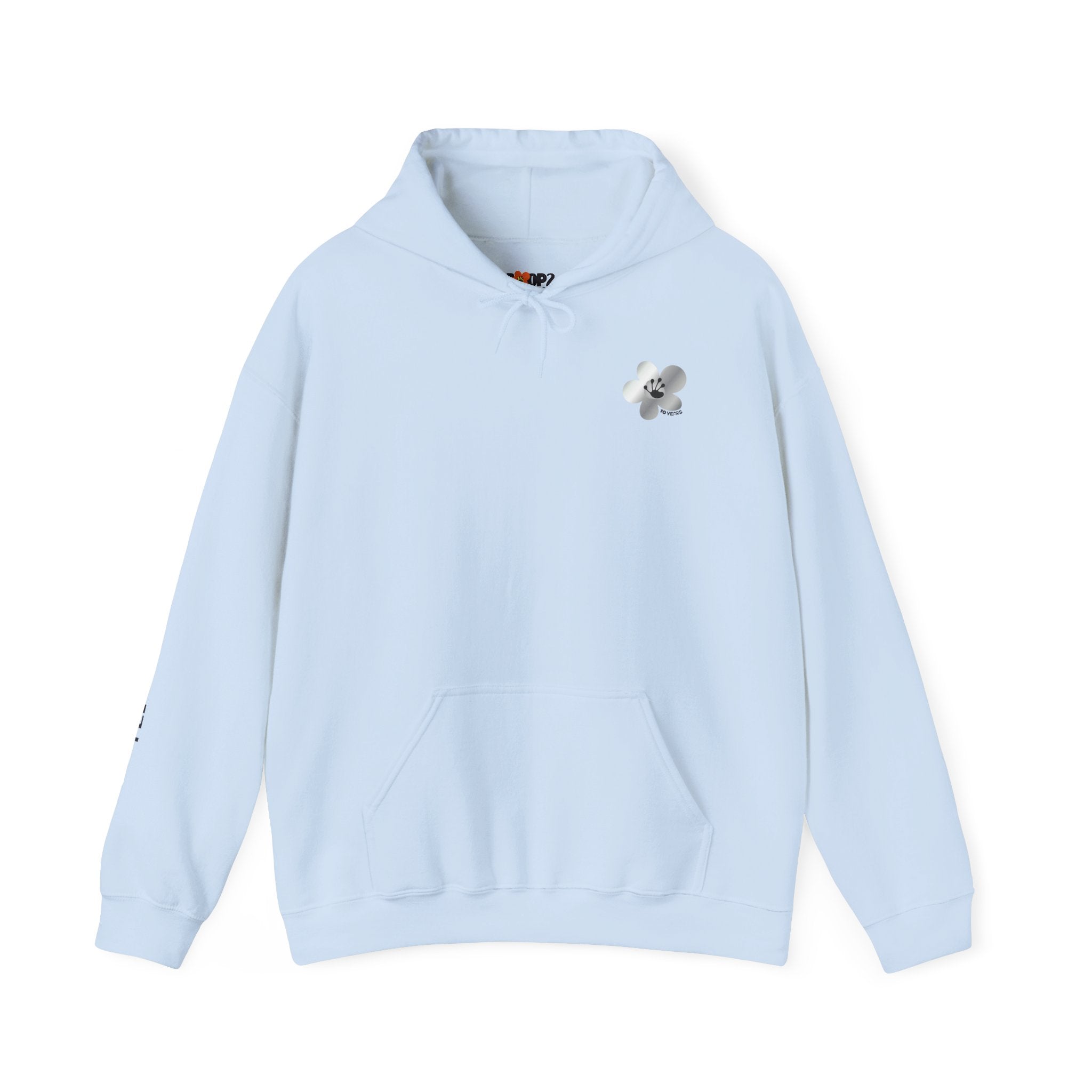 10 Year Milestone Unisex Hoodie | Recovery Gift | Poop2Poppies™