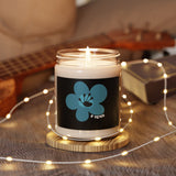 2 Year Milestone Scented Soy Candle | Recovery Gift | Poop2Poppies™