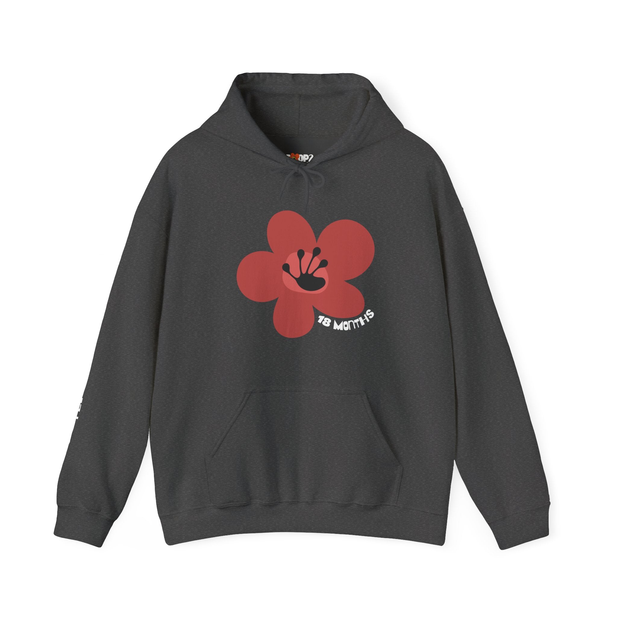 18 Month Milestone Unisex Flower Hoodie | Recovery Gift | Poop2Poppies™