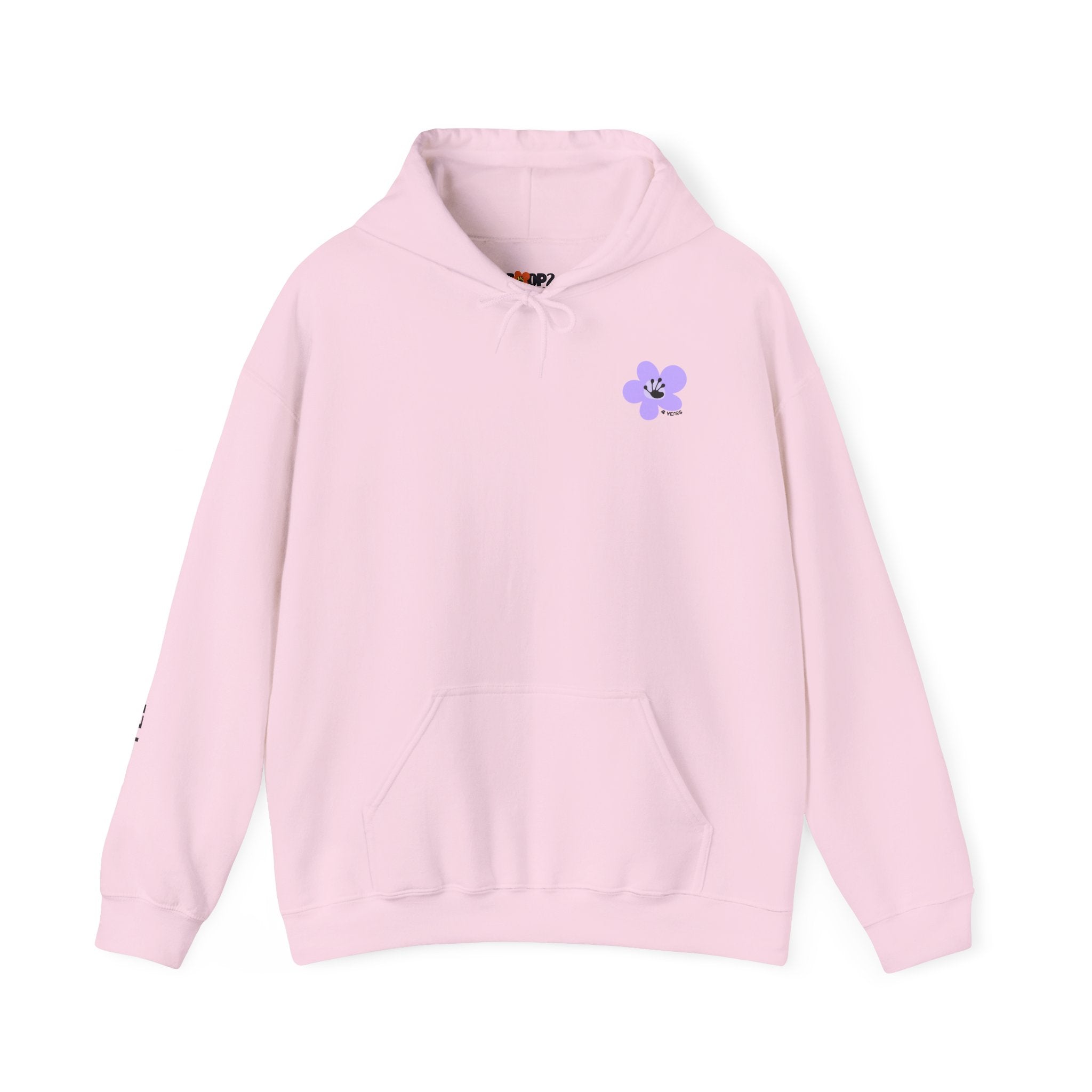 4 Year Milestone Unisex Hoodie | Recovery Gift | Poop2Poppies™