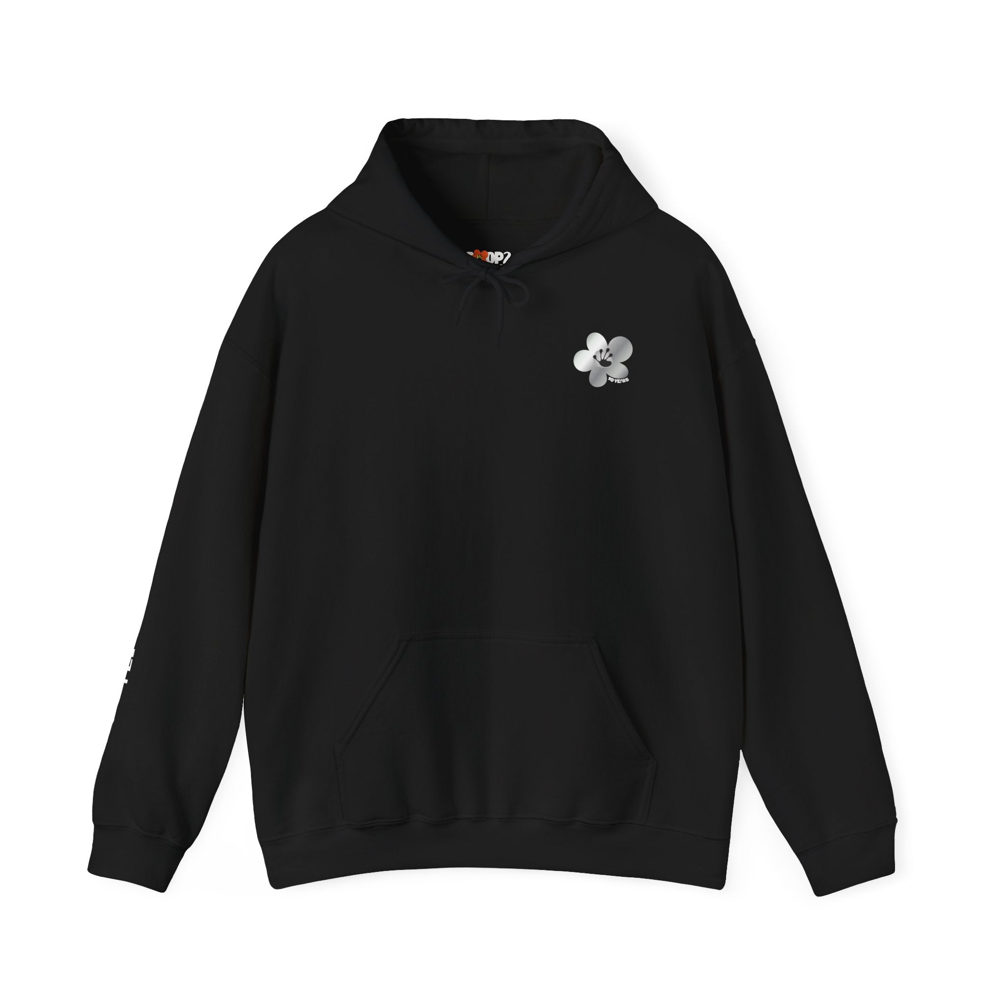 10 Year Milestone Unisex Hoodie | Recovery Gift | Poop2Poppies™