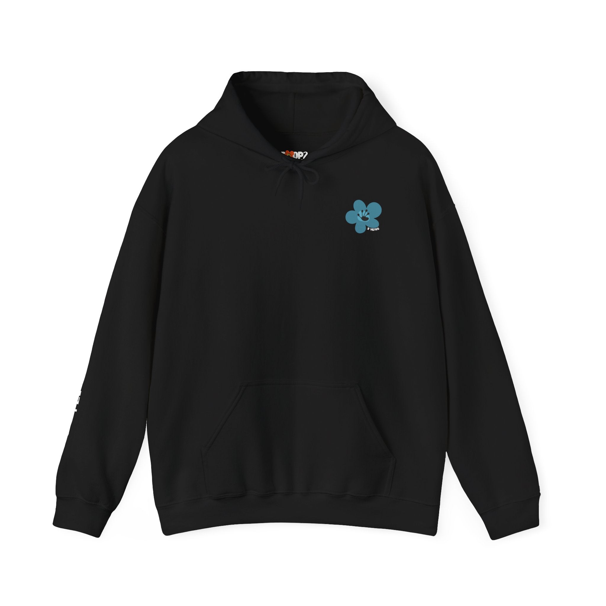 2 Year Milestone Unisex Hoodie | Recovery Gift | Poop2Poppies™