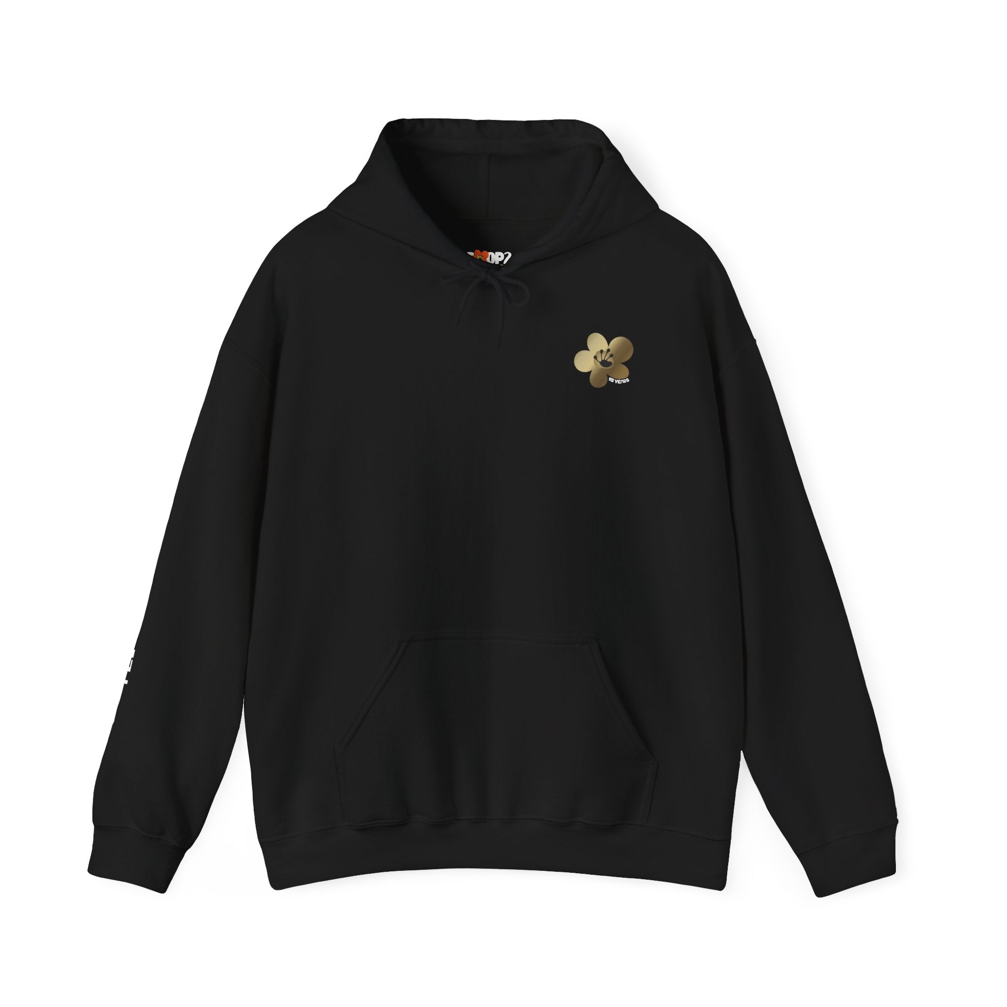 15 Year Milestone Unisex Hoodie | Recovery Gift | Poop2Poppies™